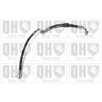 Quinton Hazell BFH6061 Remslang