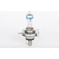 Bosch 1 987 302 144 Gloeilamp, verstraler