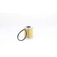 BSG 75-130-011 Brandstoffilter
