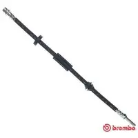 Brembo T 86 034 Remslang