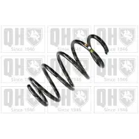 Quinton Hazell QCS8039 Chassisveer