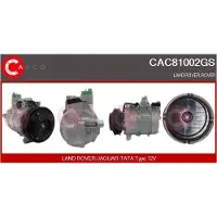 Casco CAC81002GS Aircopomp