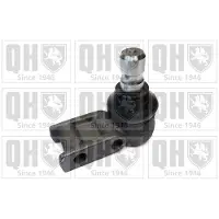 Quinton Hazell QSJ656S Fuseekogel