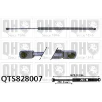 Quinton Hazell QTS828007 Gasveer motorkap