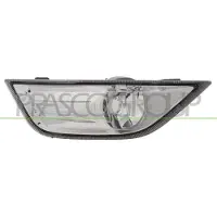 PRASCO FD1124413 Mistlamp