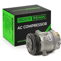 RIDEX 447K0123R Aircopomp