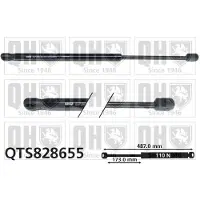 Quinton Hazell QTS828655 Gasveer achterklep
