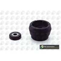 BGA SM0101 Veerpootlager