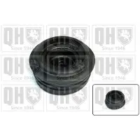 Quinton Hazell EMR6076 Veerpootlager