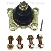 TRISCAN 8500 13511 Fuseekogel