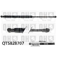 Quinton Hazell QTS828707 Gasveer achterklep