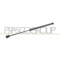 PRASCO MN3049055 Gasveer achterklep