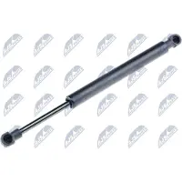 NTY AE-VV-026 Gasveer achterklep