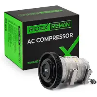 RIDEX 447K0727R Aircopomp
