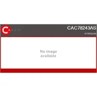 Casco CAC78243AS Aircopomp