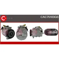 Casco CAC75103GS Aircopomp