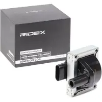 RIDEX 689C0202 Bobine