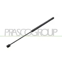 PRASCO FD4209055 Gasveer achterklep