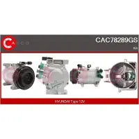 Casco CAC78289GS Aircopomp