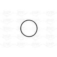 KWP 101155 Waterpomp