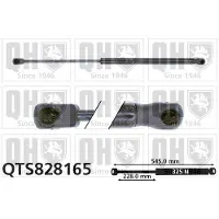 Quinton Hazell QTS828165 Gasveer achterklep