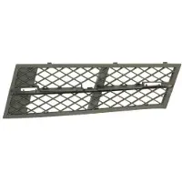 BLIC 6502-07-0067916P Ventilatiegrille, bumper