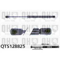 Quinton Hazell QTS128825 Gasveer achterklep