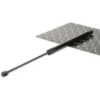 RIDEX 219G0623 Gasveer achterklep