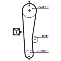 Gates 5313XS Distributieriem