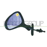 PRASCO DW3207124 Buitenspiegel