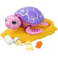 Salva Las Mascotas The Turtle Assorted Veelkleurig Kinderen