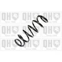 Quinton Hazell QCS7196 Chassisveer