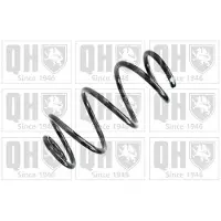 Quinton Hazell QCS8216 Chassisveer
