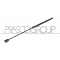 PRASCO FT1389055 Gasveer achterklep