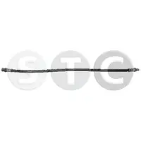 STC T496195 Remslang