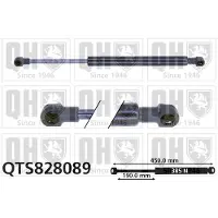Quinton Hazell QTS828089 Gasveer achterklep