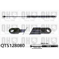 Quinton Hazell QTS128080 Gasveer achterklep