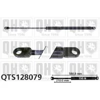 Quinton Hazell QTS128079 Gasveer achterklep