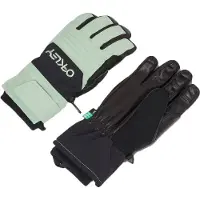 Oakley Ski handschoenen unisex