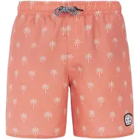 Protest prtfonz jr beachshort -