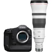 Canon EOS R1 + RF 600mm F/4L IS USM