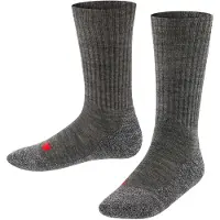 Falke Sportsokken donkergrijs / rood