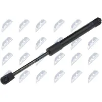 NTY AE-SK-018 Gasveer achterklep