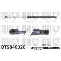 Quinton Hazell QTS840320 Gasveer achterklep