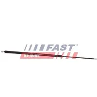 Fast Sports Nutrition FT94837 Gasveer achterklep