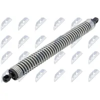 NTY AE-BM-093 Gasveer achterklep