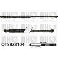 Quinton Hazell QTS828104 Gasveer achterklep