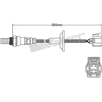 VEGAZ ULS-493 Lambdasonde