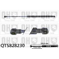 Quinton Hazell QTS828230 Gasveer achterklep