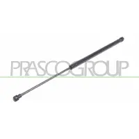 PRASCO ST4229055 Gasveer achterklep